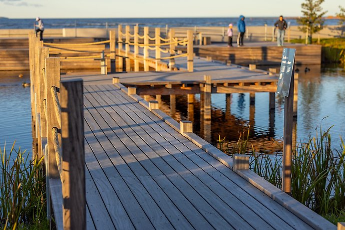 Spångar i strandparken